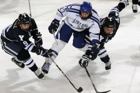 开云体育官网-赛前速览：钻石联赛首回合费内巴切对阵上海申花，三大看点值得期待